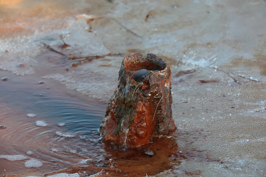 Shutterstock 2001458258